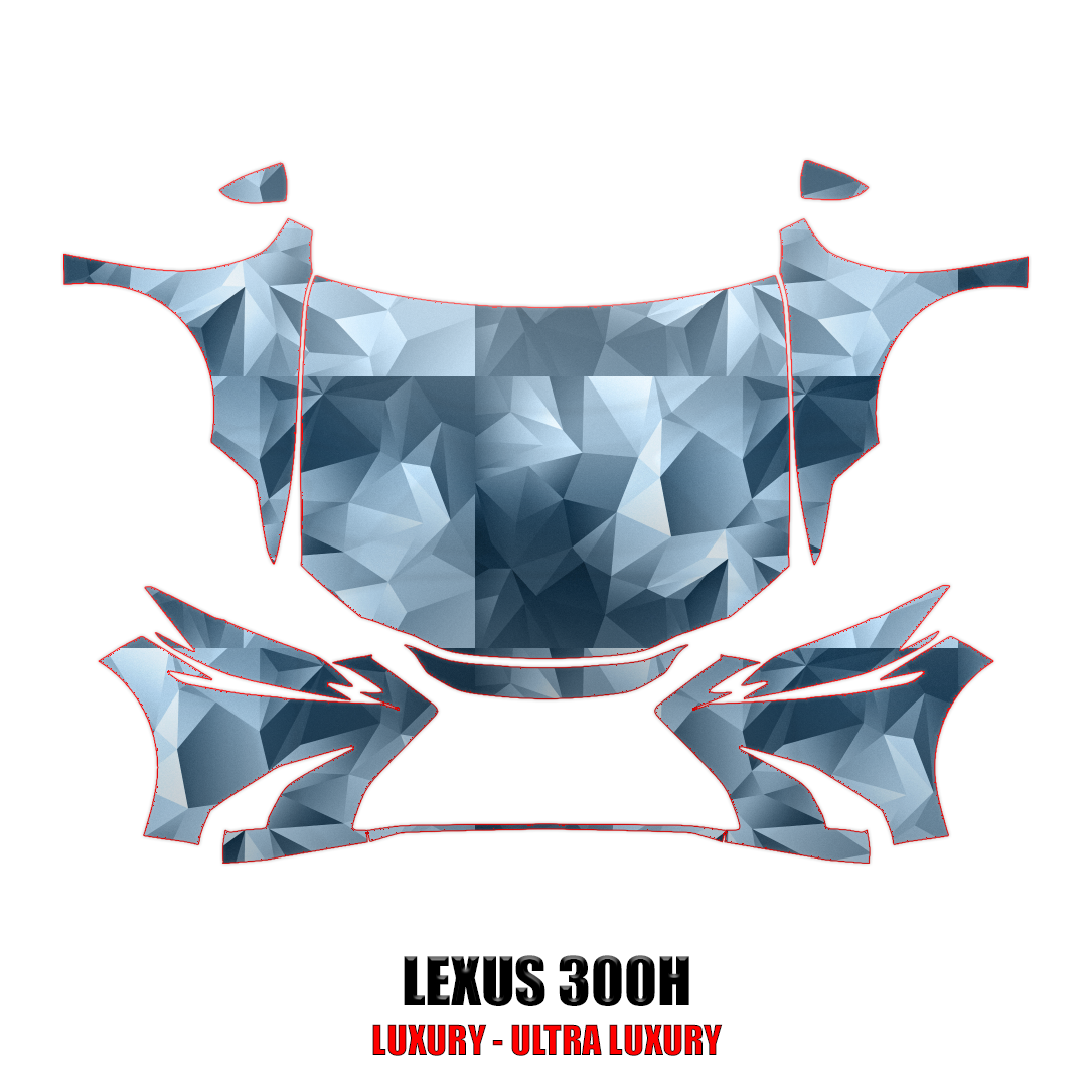 2019-2024 Lexus ES300H Precut Paint Protection Kit – Full Front